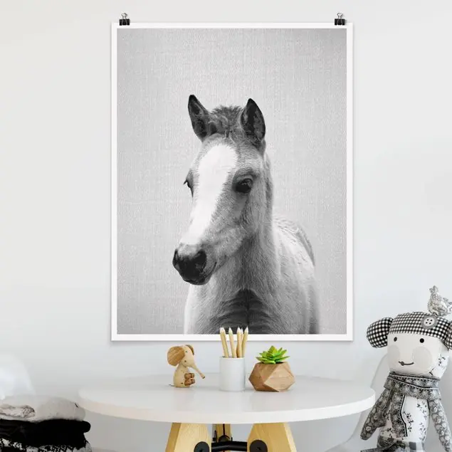 Wochenendangebot Baby Pferd Philipp Schwarz Weiß Poster