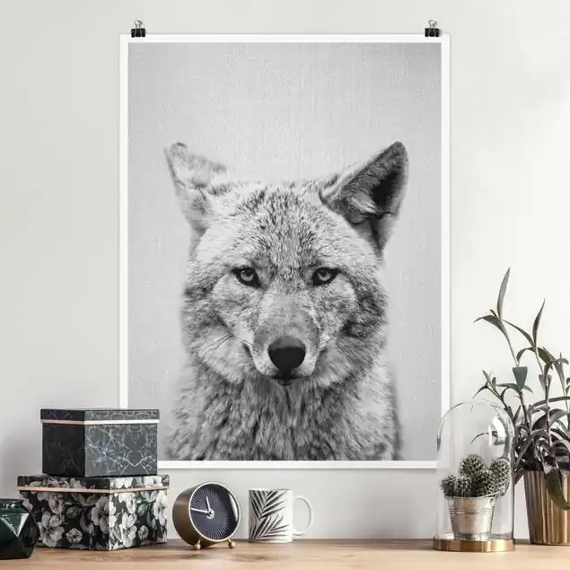 Geprüft Kojote Kalle Schwarz Weiß Poster