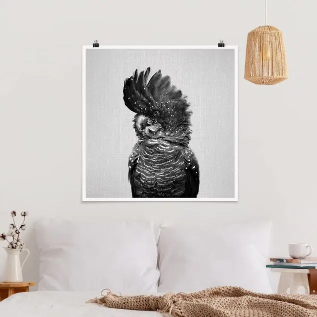 Kakadu Kanye Schwarz Weiß Poster Saisonangebot