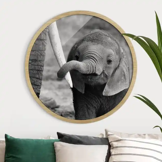Neue Kollektion Elefantenbaby Rundes Bild mit Rahmen