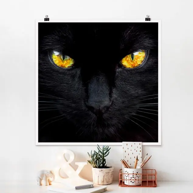 Hypnotischer Blick Poster - Quadrat Direkt Vom Hersteller