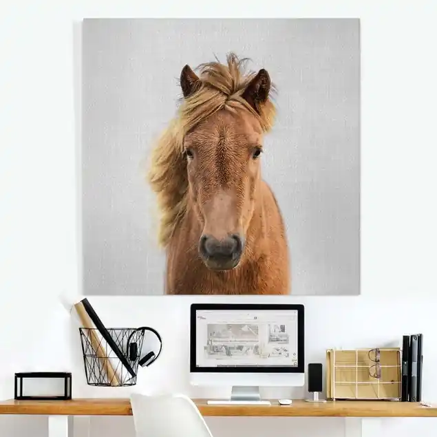 Pferd Pauline Leinwandbild – Canvas Kostenloser Versand