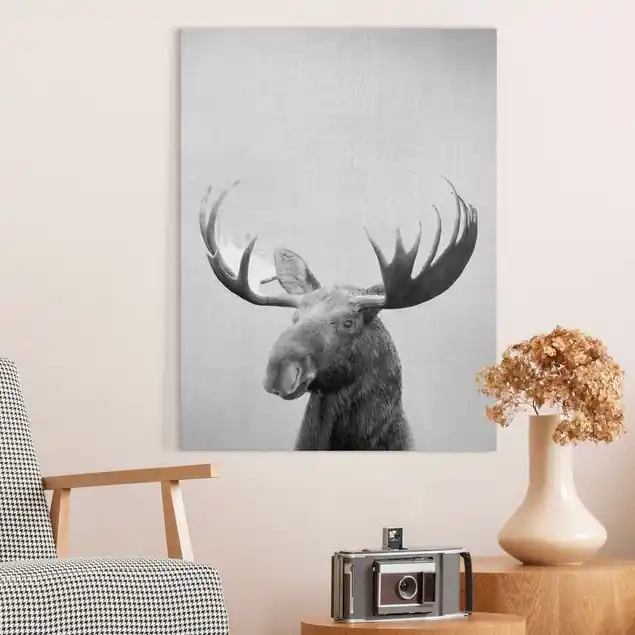 Direkt Vom Hersteller Elch Erhardt Schwarz Weiß Leinwandbild – Canvas