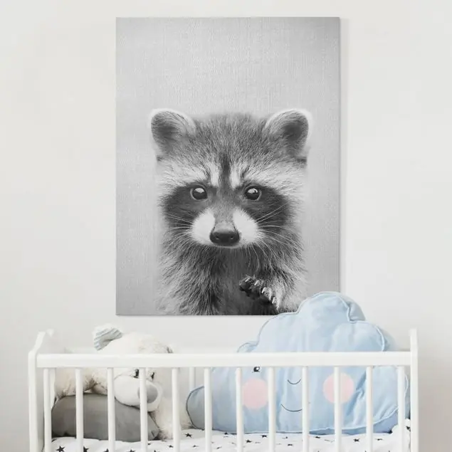 Neu Baby Waschbär Wicky Schwarz Weiß Leinwandbild – Canvas