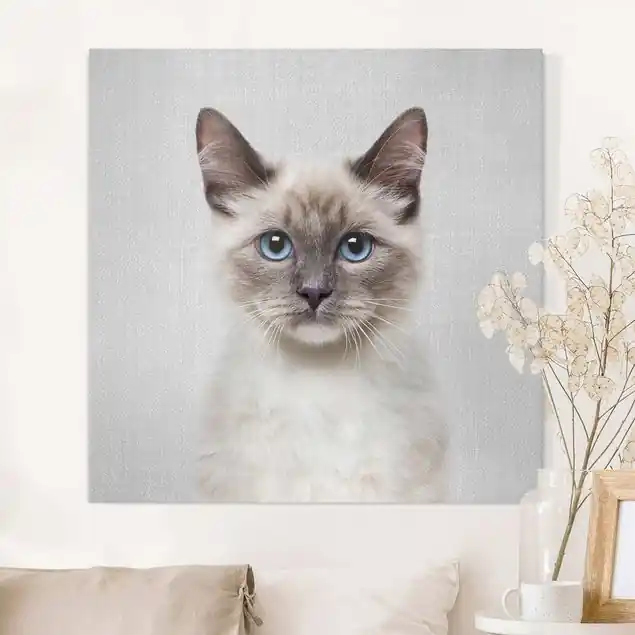Preiswert Siamkatze Sibylle Leinwandbild – Canvas