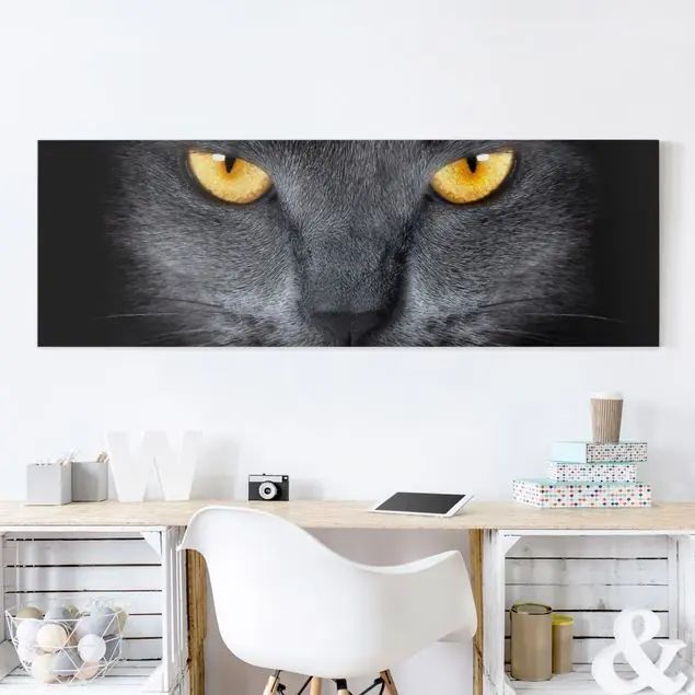 Schneller Versand Cats Gaze Leinwandbild – Canvas