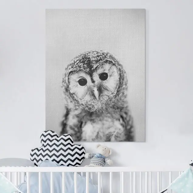Günstig Baby Eule Erika Schwarz Weiß Leinwandbild – Canvas