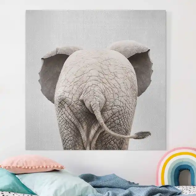 Schneller Versand Baby Elefant von hinten Leinwandbild – Canvas