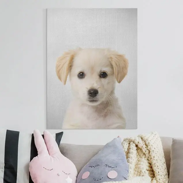 Super-Preis Baby Golden Retriever Gizmo Leinwandbild – Canvas