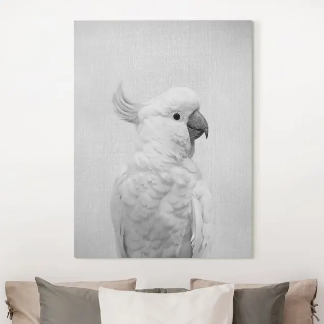 Finale Aktion Kakadu Kiki Schwarz Weiß Leinwandbild – Canvas