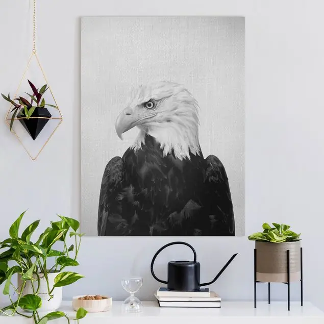 Markenware Seeadler Sokrates Schwarz Weiß Leinwandbild – Canvas