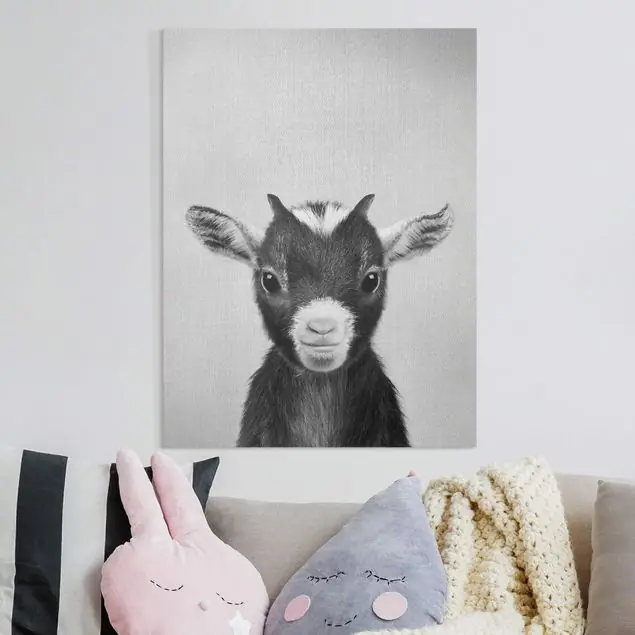 Baby Ziege Zelda Schwarz Weiß Leinwandbild – Canvas Garantierte Lieferung