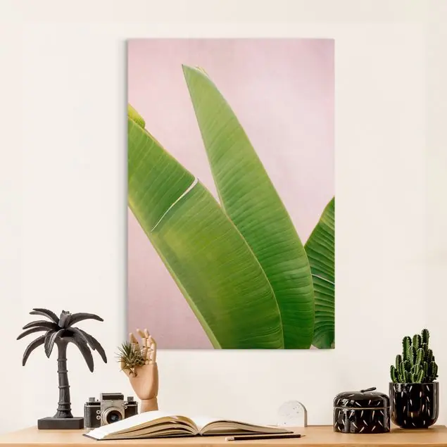 Jetzt Kaufen Bananenpalmenblätter vor rosa Wand Leinwandbild • hergestellt in Deutschland • langlebiges Canvas mit Holzkeilrahmen • klassische Struktur