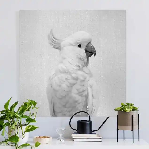 Kakadu Kiki Schwarz Weiß Leinwandbild • hergestellt in Deutschland • langlebiges Canvas mit Holzkeilrahmen • klassische Struktur Neu Im Sortiment