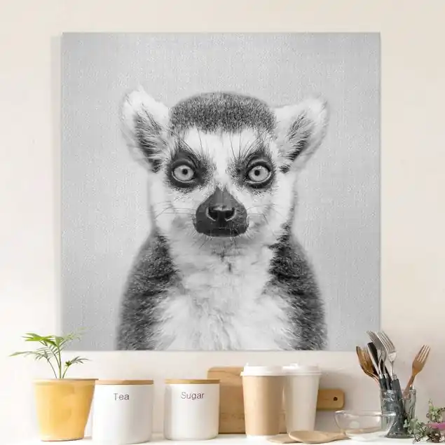 Lemur Ludwig Schwarz Weiß Leinwandbild • hergestellt in Deutschland • langlebiges Canvas mit Holzkeilrahmen • klassische Struktur Knallerangebot