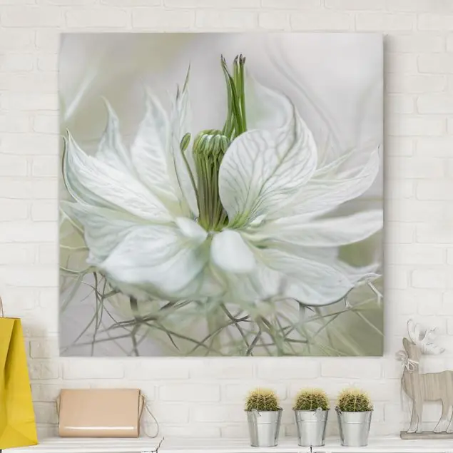 Weiße Nigella Leinwandbild • hergestellt in Deutschland • langlebiges Canvas mit Holzkeilrahmen • klassische Struktur Neue Kollektion