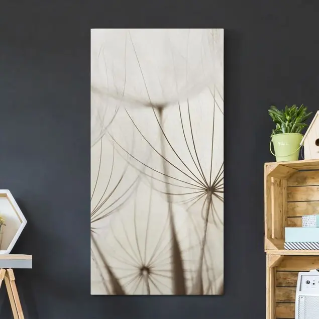Sanfte Gräser Leinwandbild • hergestellt in Deutschland • langlebiges Canvas mit Holzkeilrahmen • klassische Struktur Rabatt