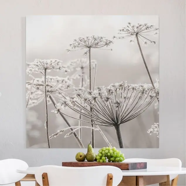 Neu Im Sortiment Doldenblüten im Frost Leinwandbild • hergestellt in Deutschland • langlebiges Canvas mit Holzkeilrahmen • klassische Struktur