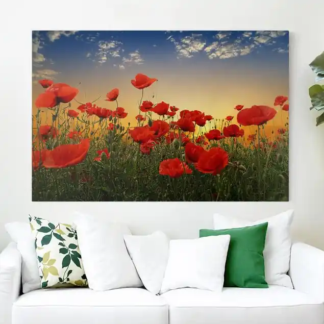 Aktuell Mohnblumenfeld im Sonnenuntergang Leinwandbild • hergestellt in Deutschland • langlebiges Canvas mit Holzkeilrahmen • klassische Struktur