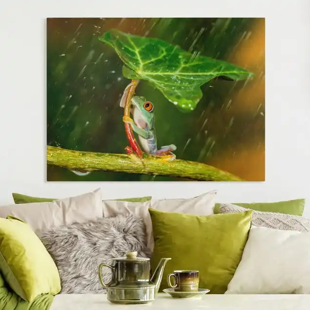 Ein Frosch im Regen Leinwandbild • hergestellt in Deutschland • langlebiges Canvas mit Holzkeilrahmen • klassische Struktur Preis Gesenkt