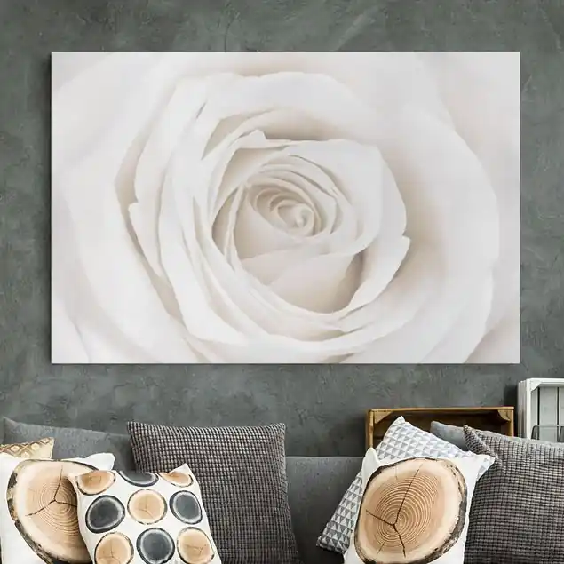 Zertifiziert Pretty White Rose Leinwandbild • hergestellt in Deutschland • langlebiges Canvas mit Holzkeilrahmen • klassische Struktur