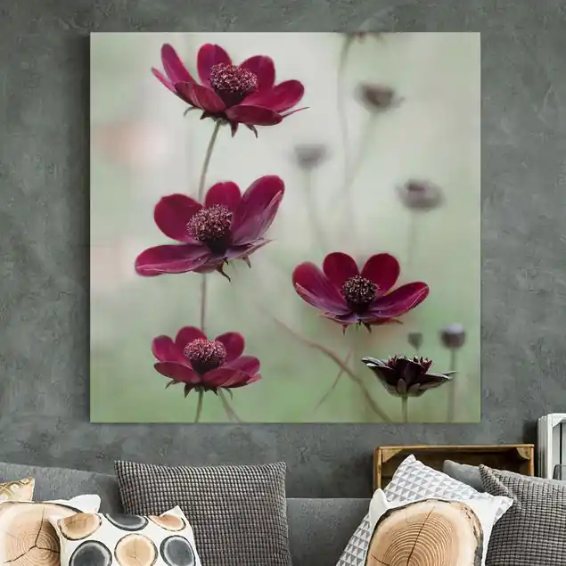 Pinke Kosmeen Leinwandbild • hergestellt in Deutschland • langlebiges Canvas mit Holzkeilrahmen • klassische Struktur Gratis Versand