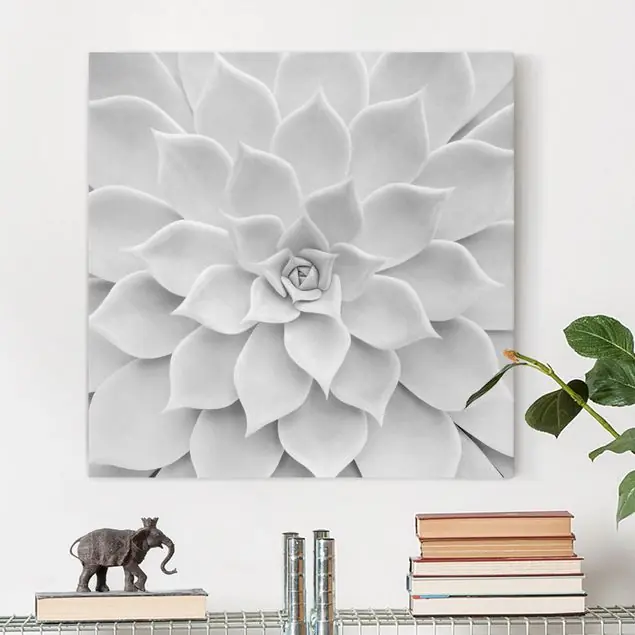 Kaktus Sukkulente Leinwandbild • hergestellt in Deutschland • langlebiges Canvas mit Holzkeilrahmen • klassische Struktur Solange Der Vorrat Reicht