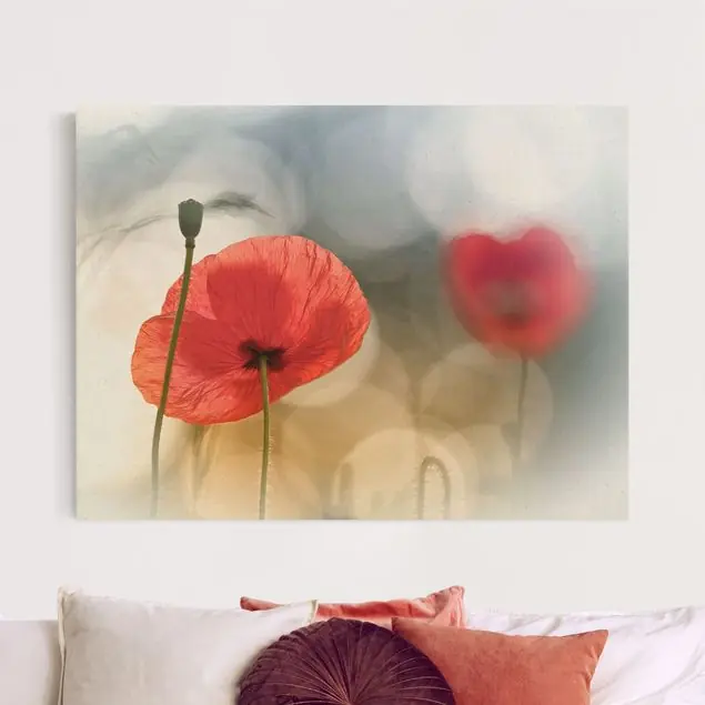 Mohnblumen am Morgen Leinwandbild auf Canvas Natural Neu Im Sortiment