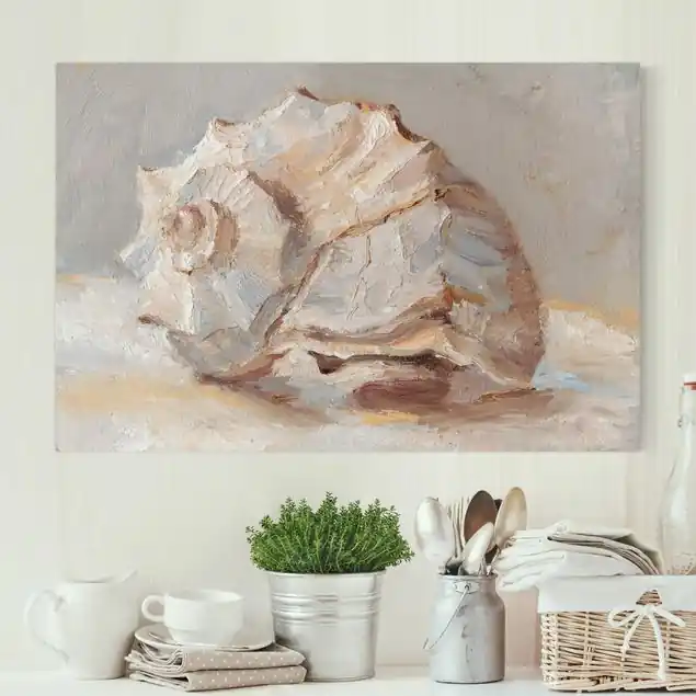 Kostenfreie Lieferung Muschel-Studie II Leinwandbild • hergestellt in Deutschland • langlebiges Canvas mit Holzkeilrahmen • klassische Struktur