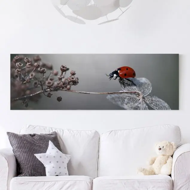 Rabatt Marienkäfer auf Hortensie Leinwandbild • hergestellt in Deutschland • langlebiges Canvas mit Holzkeilrahmen • klassische Struktur