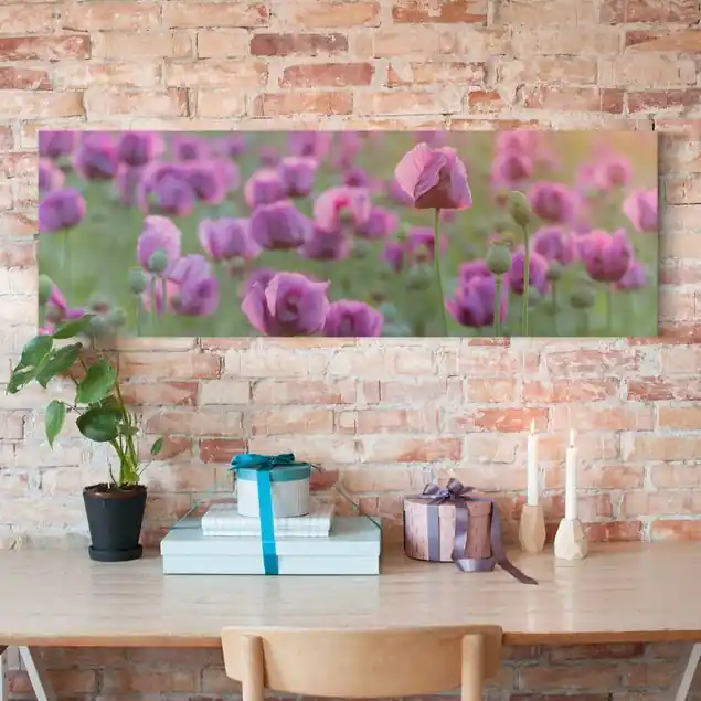 Angebot Violette Schlafmohn Blumenwiese im Frühling Leinwandbild • hergestellt in Deutschland • langlebiges Canvas mit Holzkeilrahmen • klassische Struktur