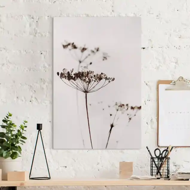 Wochenendangebot Trockenblume im Schatten Leinwandbild • hergestellt in Deutschland • langlebiges Canvas mit Holzkeilrahmen • klassische Struktur
