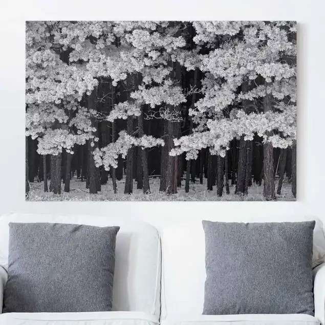 Wald mit Raureif in Österreich Leinwandbild • hergestellt in Deutschland • langlebiges Canvas mit Holzkeilrahmen • klassische Struktur Nur Heute