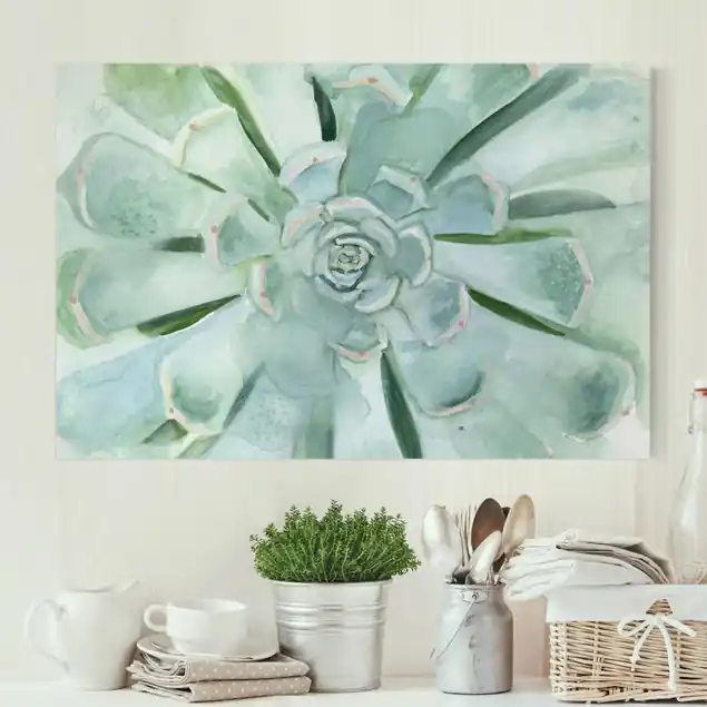 Ausverkauf Sukkulente Aquarell Hell Leinwandbild • hergestellt in Deutschland • langlebiges Canvas mit Holzkeilrahmen • klassische Struktur
