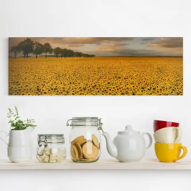 Jetzt Bestellen Feld mit Sonnenblumen Leinwandbild • hergestellt in Deutschland • langlebiges Canvas mit Holzkeilrahmen • klassische Struktur