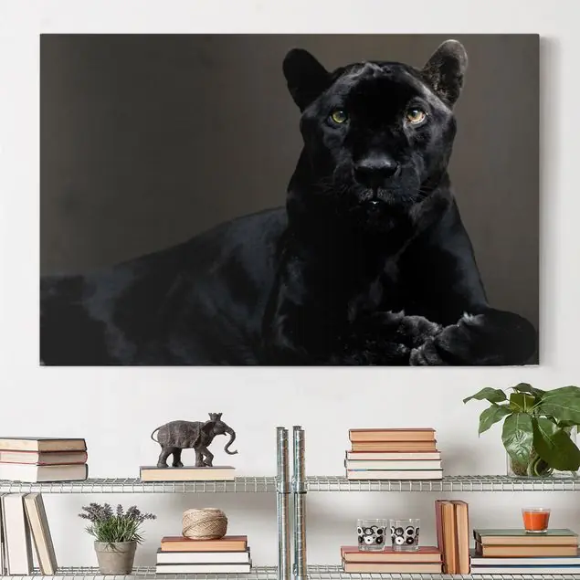 Black Puma Leinwandbild • hergestellt in Deutschland • langlebiges Canvas mit Holzkeilrahmen • klassische Struktur Schneller Versand
