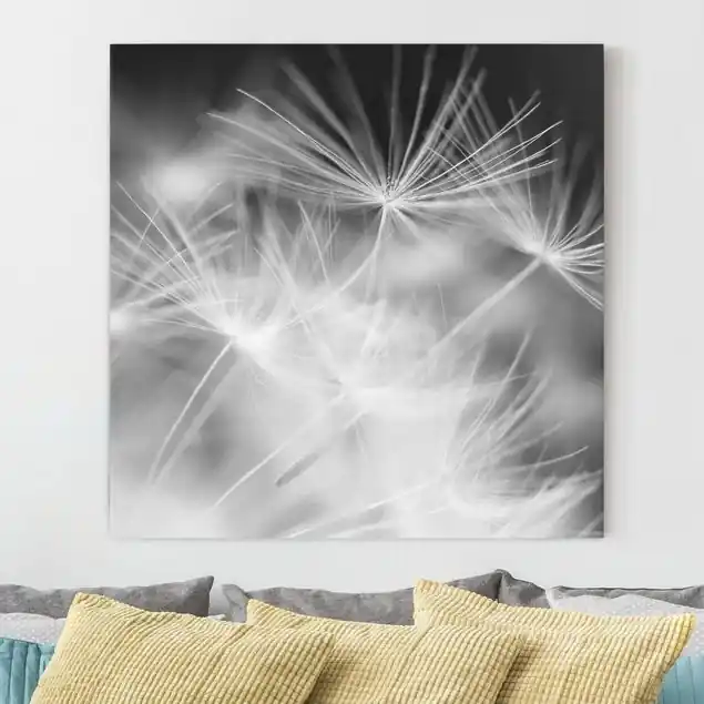Bewegte Pusteblumen Nahaufnahme auf schwarzem Hintergrund Leinwandbild • hergestellt in Deutschland • langlebiges Canvas mit Holzkeilrahmen • klassische Struktur Angebot