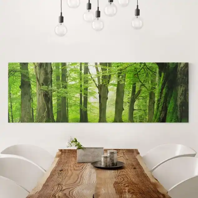 Heißes Angebot Mighty Beech Trees Leinwandbild • hergestellt in Deutschland • langlebiges Canvas mit Holzkeilrahmen • klassische Struktur