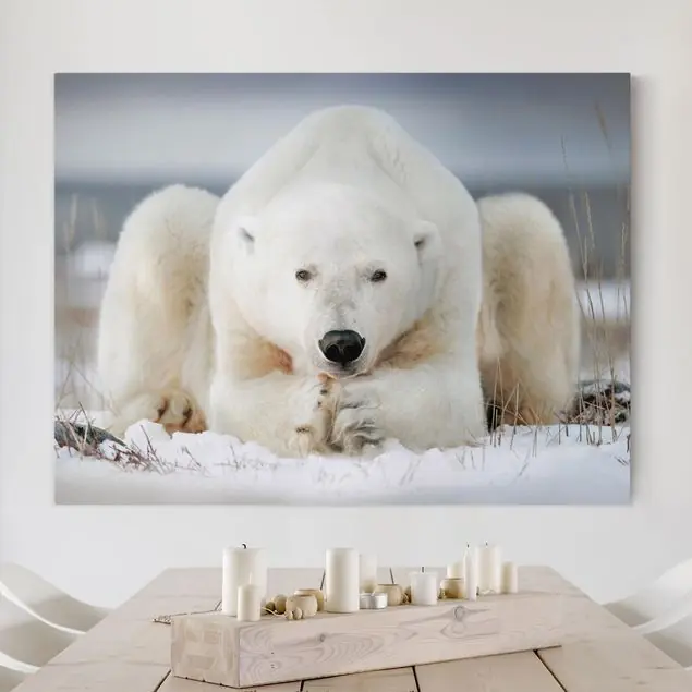 Markenprodukt Nachdenklicher Eisbär Leinwandbild • hergestellt in Deutschland • langlebiges Canvas mit Holzkeilrahmen • klassische Struktur