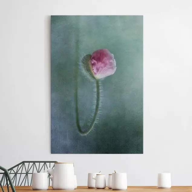 Schneller Versand Blüte in Rosa Leinwandbild • hergestellt in Deutschland • langlebiges Canvas mit Holzkeilrahmen • klassische Struktur