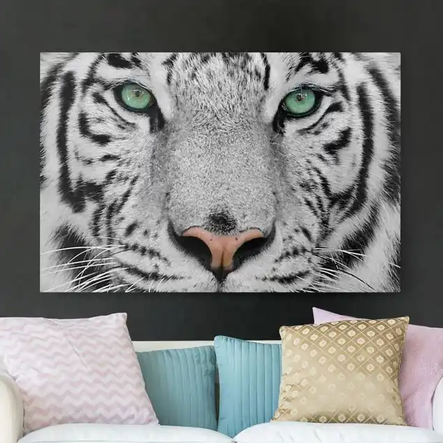 Sonderangebot Weißer Tiger Leinwandbild • hergestellt in Deutschland • langlebiges Canvas mit Holzkeilrahmen • klassische Struktur
