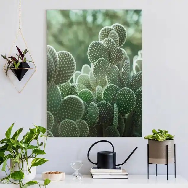 Top-Preis Kakteen Leinwandbild • hergestellt in Deutschland • langlebiges Canvas mit Holzkeilrahmen • klassische Struktur