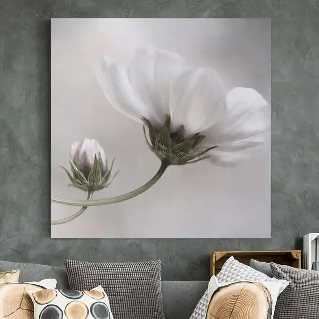 Simply Cosmos Leinwandbild • hergestellt in Deutschland • langlebiges Canvas mit Holzkeilrahmen • klassische Struktur Jetzt Kaufen